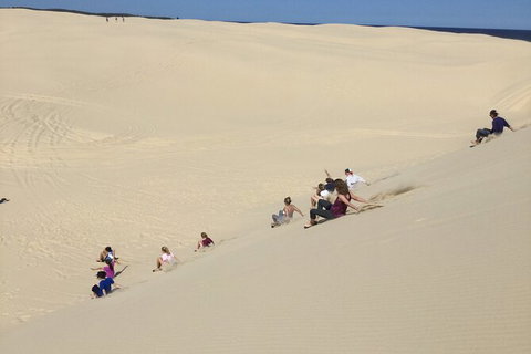 Port Stephens Bush, Beach And Sand Dune 4WD Passenger Tour - Surfers Paradise Gold Coast 2