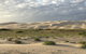 Port Stephens Bush, Beach And Sand Dune 4WD Passenger Tour - thumb 3