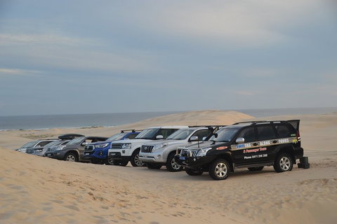 Port Stephens Bush, Beach And Sand Dune 4WD Passenger Tour - Surfers Paradise Gold Coast 7