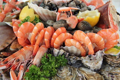 Romantic Picnic Getaways - Surfers Paradise Gold Coast 7