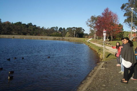 All-Day Blue Mountains Private Tour With Professional Guide For Up To 4 People - Surfers Paradise Gold Coast 24