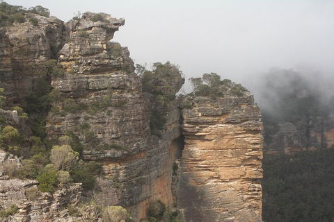 All-Day Blue Mountains Private Tour With Professional Guide For Up To 4 People - Surfers Paradise Gold Coast 11