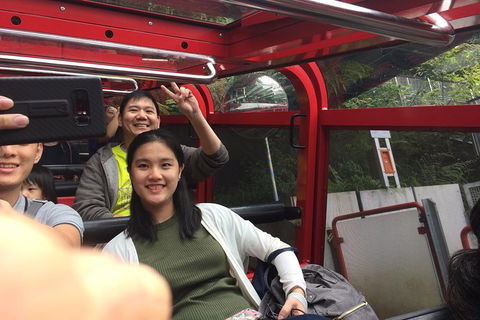 All-Day Blue Mountains Private Tour With Professional Guide For Up To 4 People - Surfers Paradise Gold Coast 15