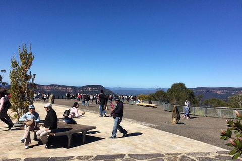 All-Day Blue Mountains Private Tour With Professional Guide For Up To 4 People - Surfers Paradise Gold Coast 5