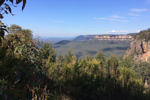 All-Day Blue Mountains Private Tour With Professional Guide For Up To 4 People - Surfers Paradise Gold Coast 4