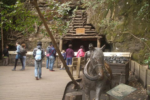 All-Day Blue Mountains Private Tour With Professional Guide For Up To 4 People - Surfers Paradise Gold Coast 9