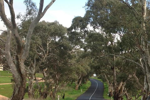 All-Day Blue Mountains Private Tour With Professional Guide For Up To 4 People - Surfers Paradise Gold Coast 22