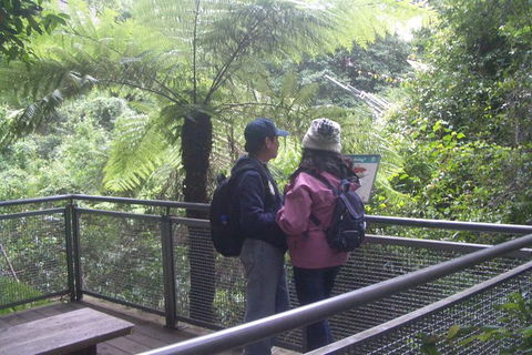 All-Day Blue Mountains Private Tour With Professional Guide For Up To 4 People - Surfers Paradise Gold Coast 19