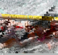 Jervis Bay Boom Netting and Dolphins Tour - Surfers Paradise Gold Coast