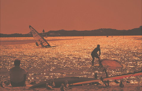 Australind - Surfers Paradise Gold Coast 1