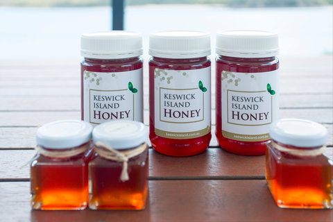 Bees On Keswick Island - Surfers Paradise Gold Coast 1