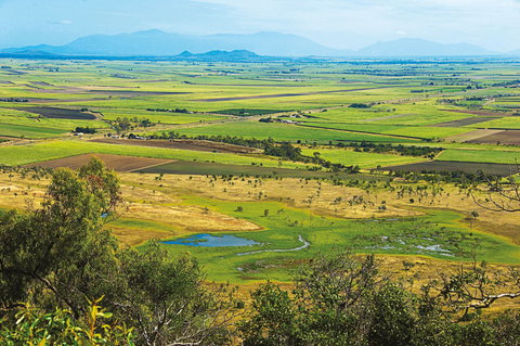Burdekin - Surfers Paradise Gold Coast 1