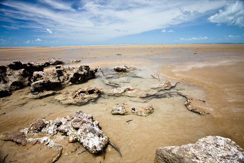 Carmila - Surfers Paradise Gold Coast 0