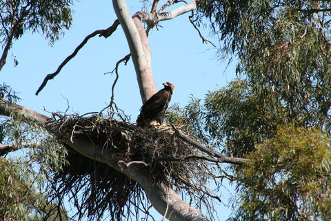 Castle Creek Reserve - Surfers Paradise Gold Coast 0