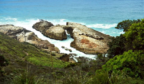 Diamond Head Loop Walk - Surfers Paradise Gold Coast 0