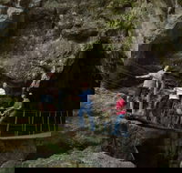 Dig the Tropic - Surfers Paradise Gold Coast