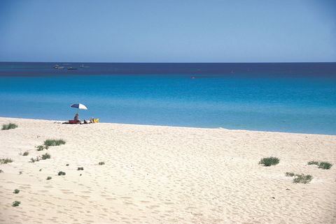 Eagle Bay - Surfers Paradise Gold Coast 0