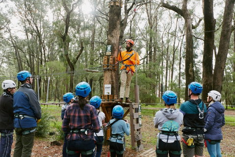 Forest Adventures South West - Surfers Paradise Gold Coast 0