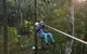 Forest Adventures South West - thumb 2