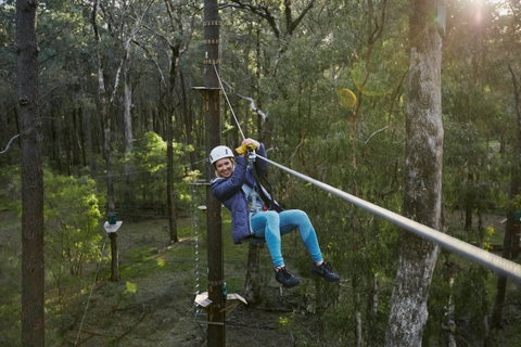 Forest Adventures South West - Surfers Paradise Gold Coast 2