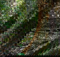 Hidden Treasure Track - Surfers Paradise Gold Coast