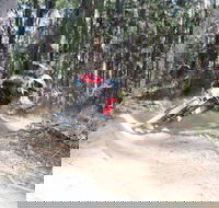 Jolly Nose Mountain Bike Park - Surfers Paradise Gold Coast