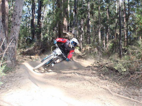 Jolly Nose Mountain Bike Park - Surfers Paradise Gold Coast 0