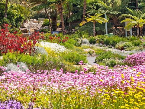 Jurassic Garden AR Experience - Surfers Paradise Gold Coast 0