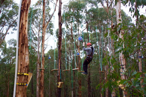Kinglake Forest Adventures - Surfers Paradise Gold Coast 0