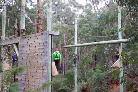 Kinglake Forest Adventures - Surfers Paradise Gold Coast 1