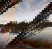 Murray-Kulkyne Regional Park - Surfers Paradise Gold Coast