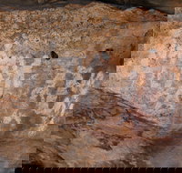 Ngamadjidj Shelter - Wartook Valley - Surfers Paradise Gold Coast