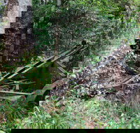 Norman Jolly Picnic Area - Surfers Paradise Gold Coast