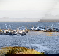 Portarlington - Surfers Paradise Gold Coast