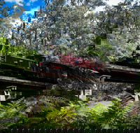 Puffing Billy Railway - Surfers Paradise Gold Coast