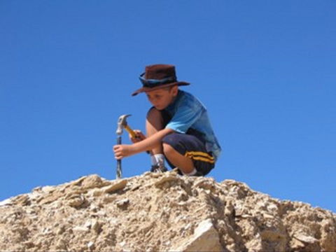 Richmond Fossil Hunting Sites - Surfers Paradise Gold Coast 0