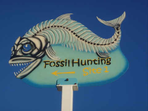 Richmond Fossil Hunting Sites - Surfers Paradise Gold Coast 1