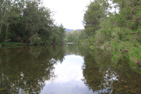 Riverside Campground And Picnic Area - Surfers Paradise Gold Coast 0