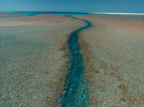 Rowley Shoals - Surfers Paradise Gold Coast 0