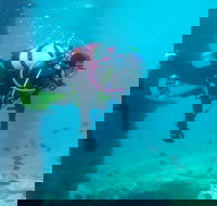 Shellharbour Scuba  and Photography Centre - Surfers Paradise Gold Coast