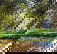 Strathnairn Arts - Surfers Paradise Gold Coast