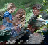 Tamworth Marsupial Park and Adventure Playground - Surfers Paradise Gold Coast