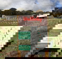 The Wallaby Track - Surfers Paradise Gold Coast