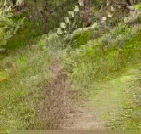 Three Views walking track - Surfers Paradise Gold Coast