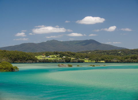 Wagonga Picnic Area - Surfers Paradise Gold Coast 1