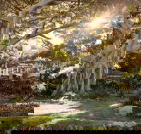 Wendy Whiteley's Secret Garden - Surfers Paradise Gold Coast