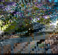Witcombe Fountain - Surfers Paradise Gold Coast