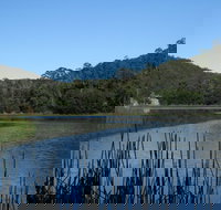 Yalwal - Surfers Paradise Gold Coast