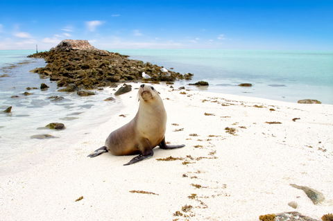 Abrolhos Islands - Surfers Paradise Gold Coast 0