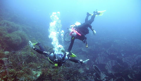 Abrolhos Islands - Surfers Paradise Gold Coast 2